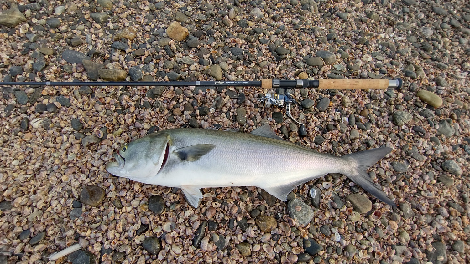 Northern Atlantic Fishing